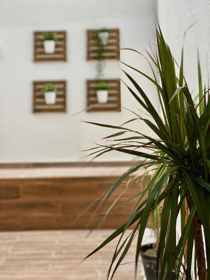 Apartment White Downtown Albufeira